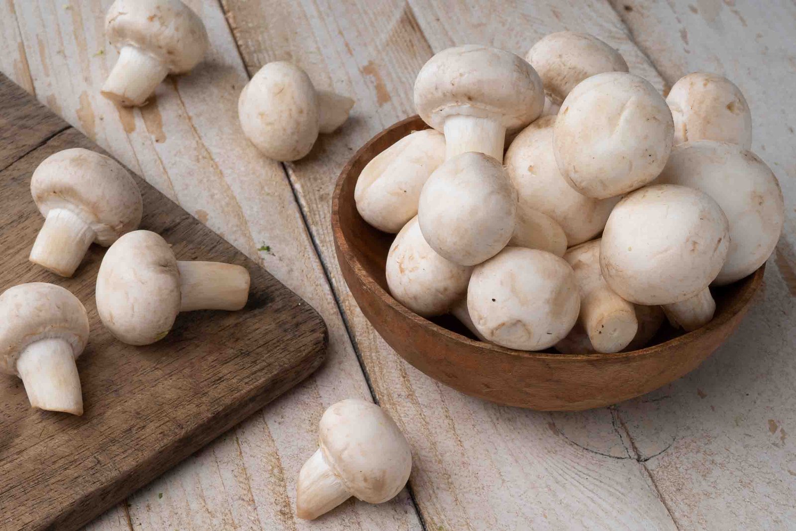 Mushroom [Mushroom Button]